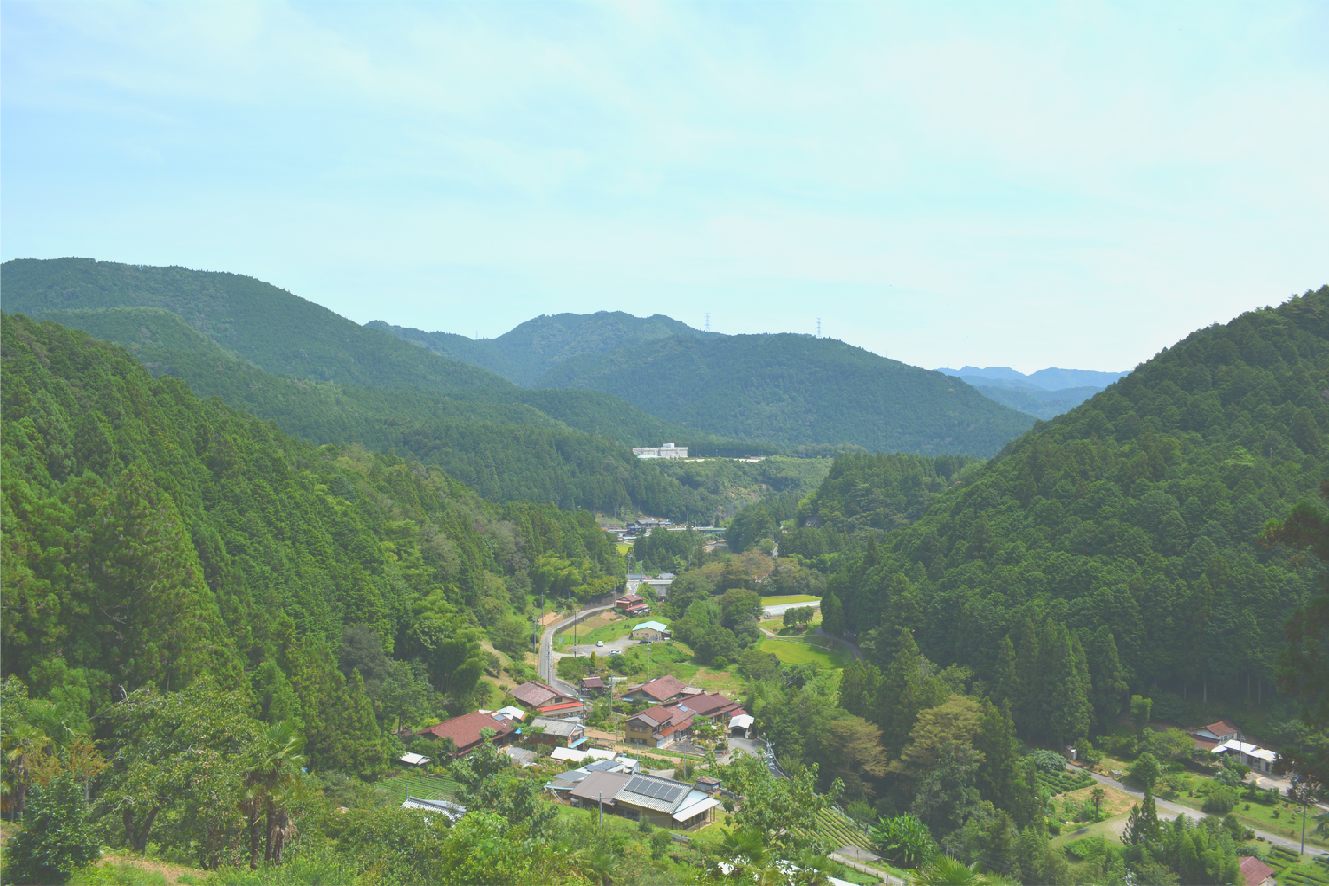 東栄町の里山